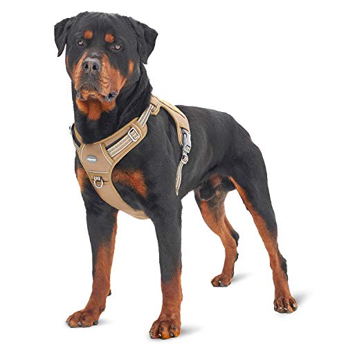 Best dog harness in 2022 [Based on 50 expert reviews]