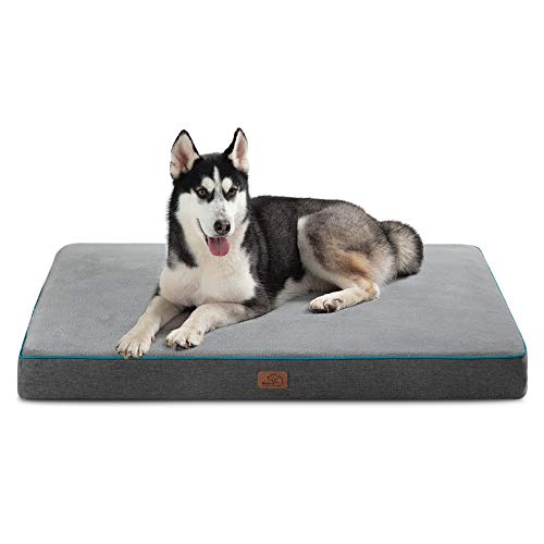 Best dog bed in 2022 [Based on 50 expert reviews]