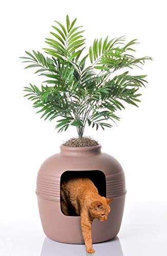 Best litter box in 2022 [Based on 50 expert reviews]