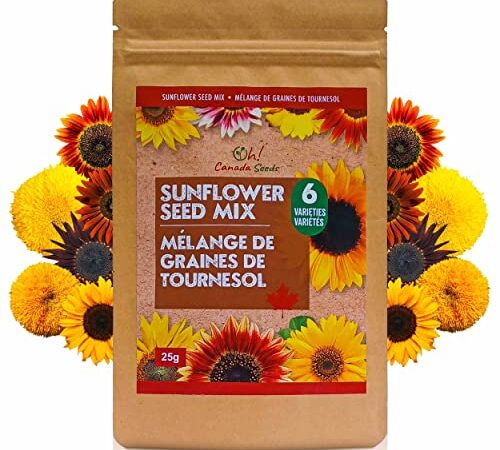 Oh! Canada Seeds Mixed Sunflower Seeds for Planting Canada - 6 Varieties, Pollinator and Bird Friendly, Natural Bulk Mix to Grow Flower Garden