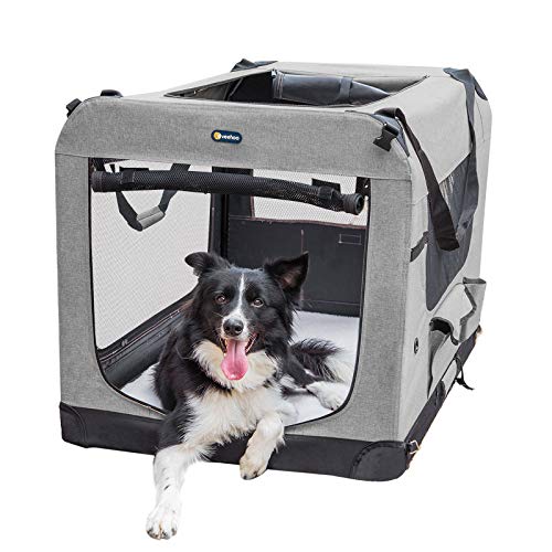 Best dog crate in 2022 [Based on 50 expert reviews]