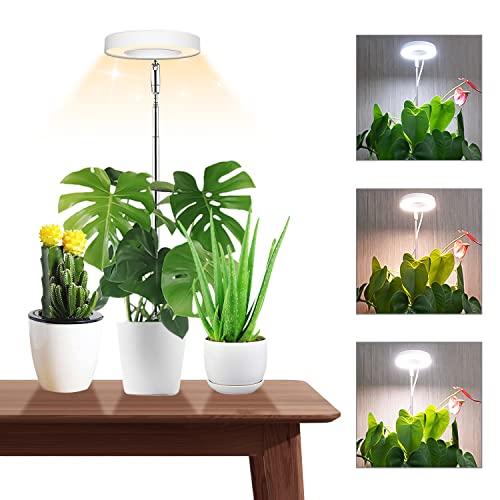 Best grow lights for indoor plants in 2022 [Based on 50 expert reviews]