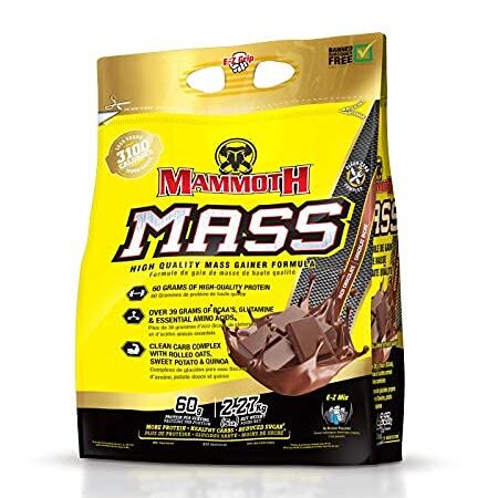 MAMMOTH MASS: Weight Gainer, High Calorie Protein Powder Workout Smoothie Shake, Meal Replacement, Low Sugar, Whey Isolate Concentrate, Casein Protein Blend, Weight Training, High Protein (5lb), Rich Chocolate