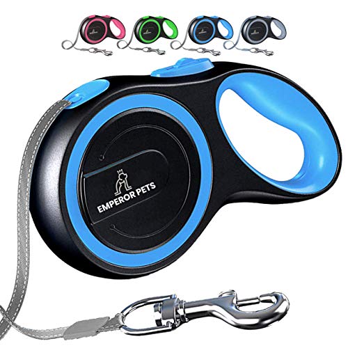 Best dog leash in 2022 [Based on 50 expert reviews]