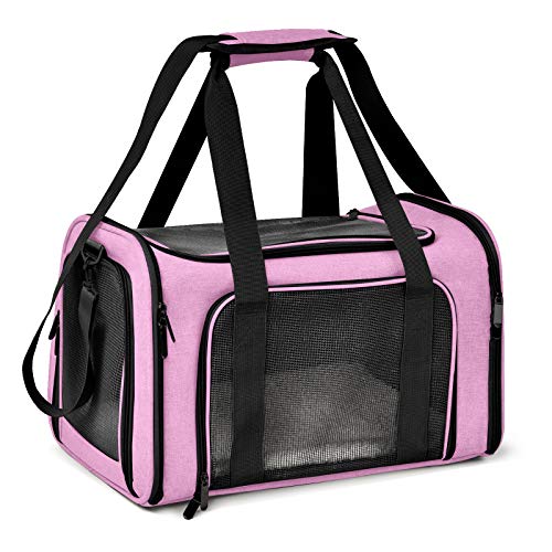 Best cat carrier in 2022 [Based on 50 expert reviews]