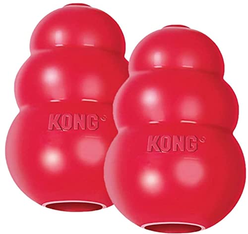 Best kong in 2022 [Based on 50 expert reviews]