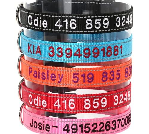 Personalized Dog Collar, Custom Embroidered Pet Name and Phone Number 4 Adjustable Sizes Small Medium Large X-Large Quick Release Buckle and D-Ring