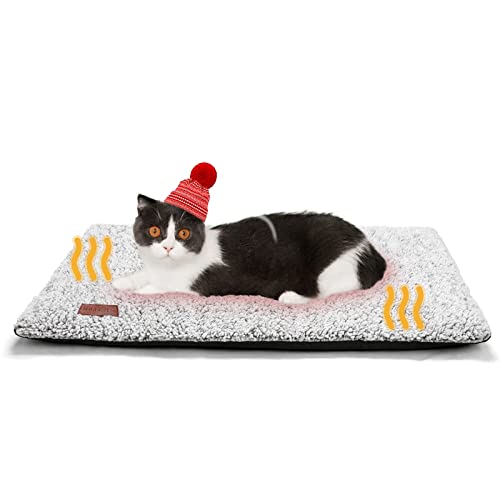 Best cat bed in 2022 [Based on 50 expert reviews]