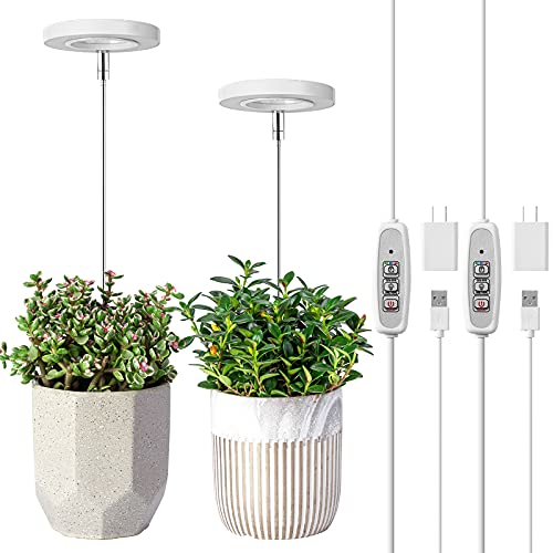 30 Best grow lights for indoor plants in 2024 [Based on 50 expert reviews]