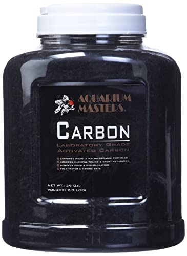 30 Best activated charcoal in 2024 [Based on 50 expert reviews]